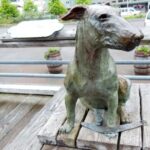 Patsy the Dog 150x150