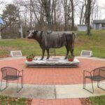 emily the cow 2 150x150