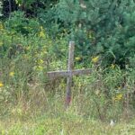 Brook M Krogel1 150x150