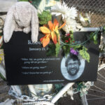 Robert Cann 1 150x150